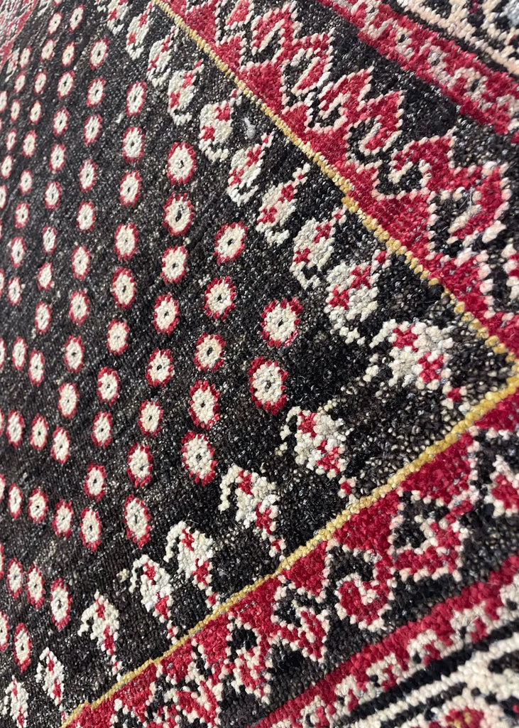 3'1"x3'3" Burano Tree of Life Hand Knotted