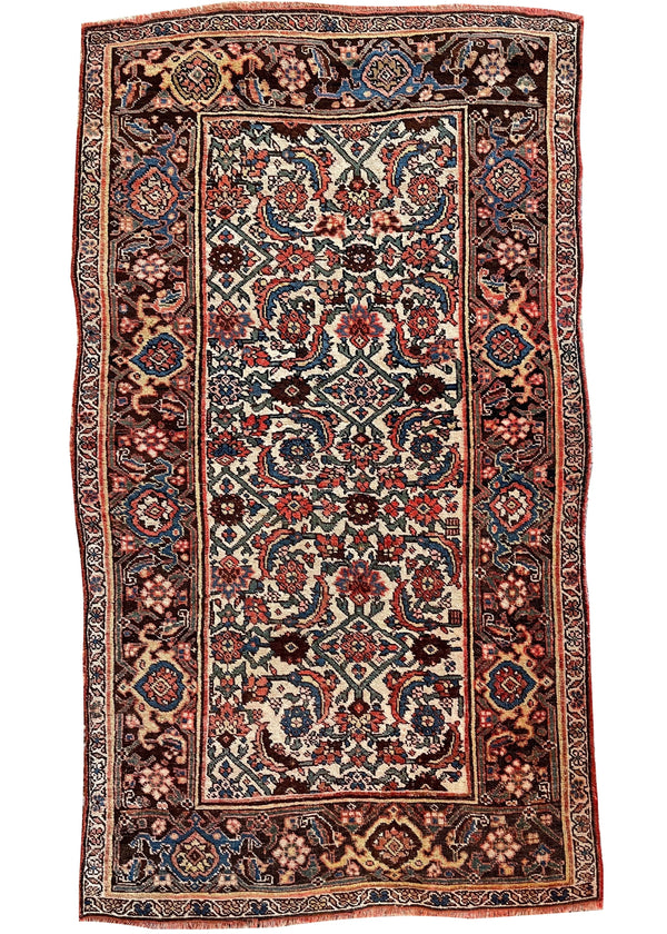 3'4"x6' Kurdish Bidjar Hand Knotted