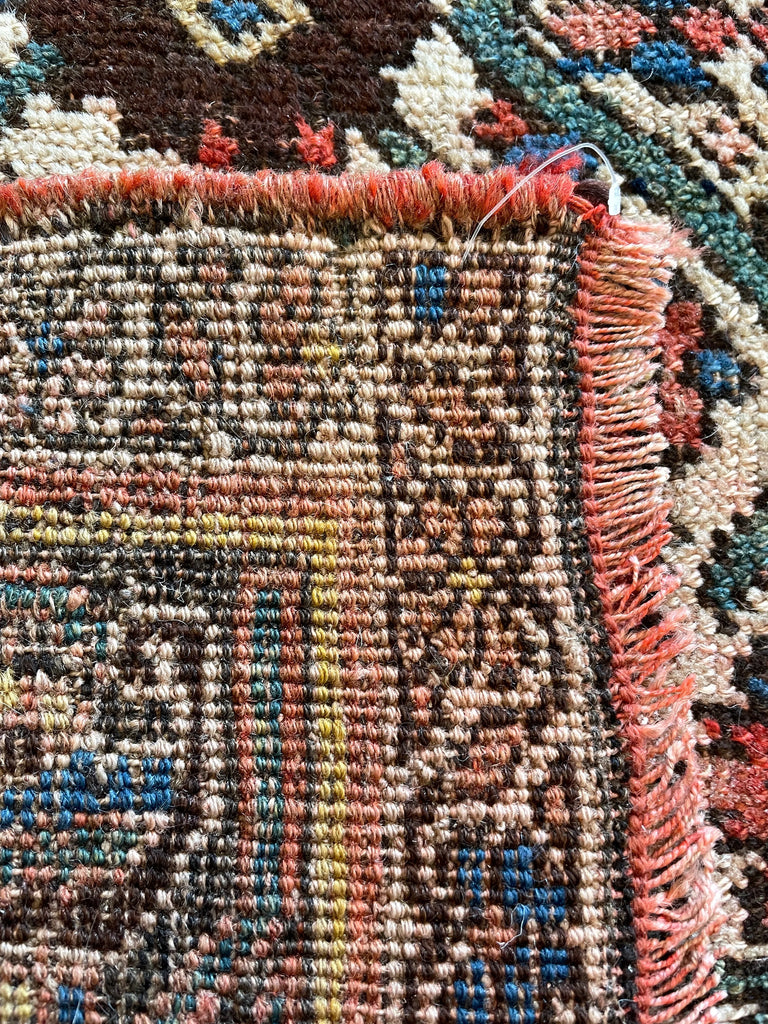 3'4"x6' Kurdish Bidjar Hand Knotted