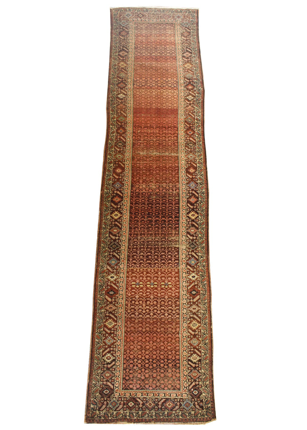 3'6"x14'6" Hamadan Hand Knotted
