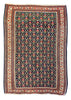 3'7"x5' Sennah Kilim Hand Woven