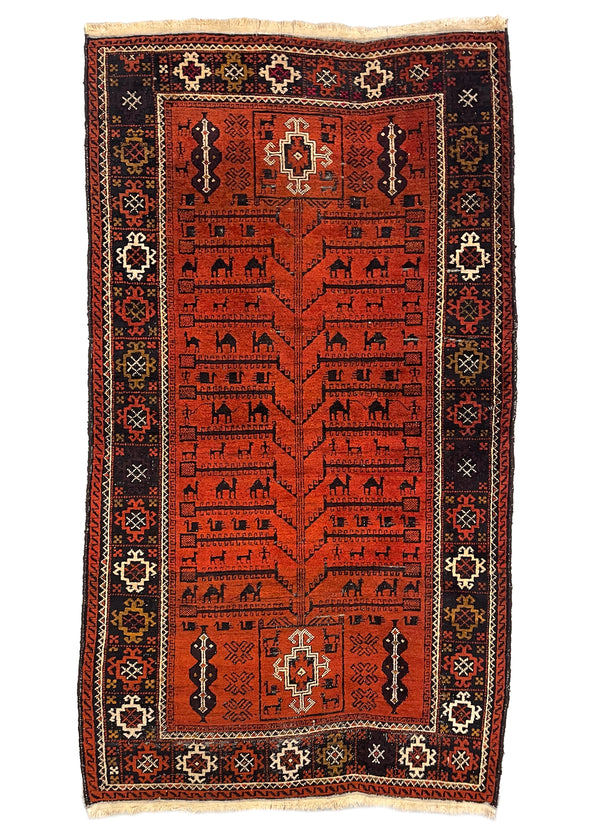 3'7"x6'3" Baluch Tree of Life Hand Knotted