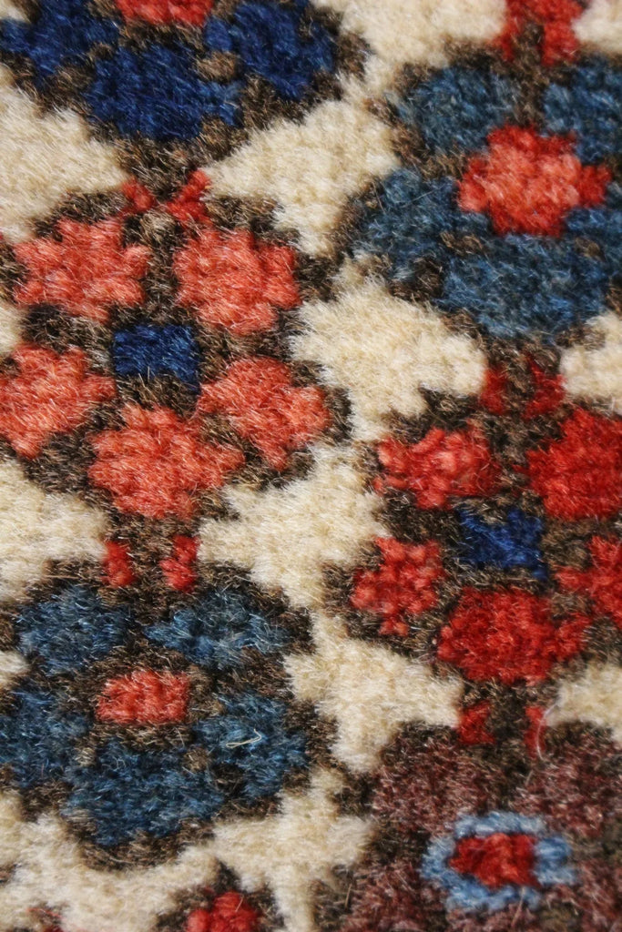 3'8"x5'3" Josheghan Hand Knotted