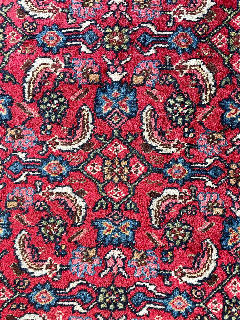 3'9"x5'1" Bidjar Hand Knotted