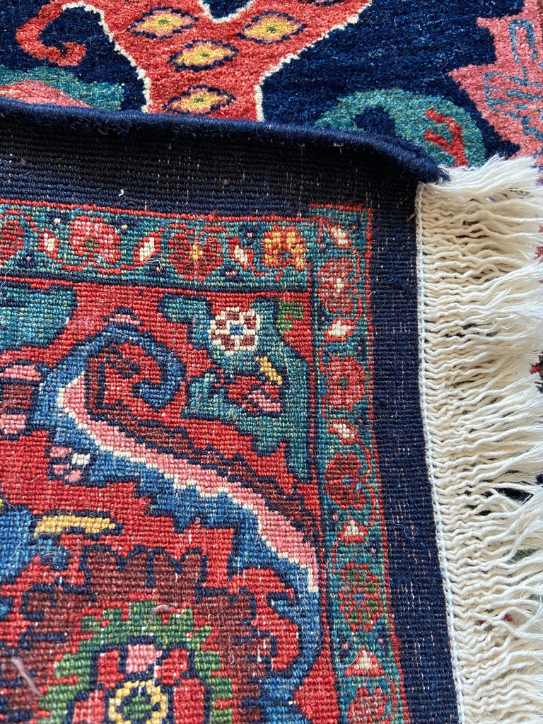 3'9"x5'7" Lion Bijar Hand Knotted