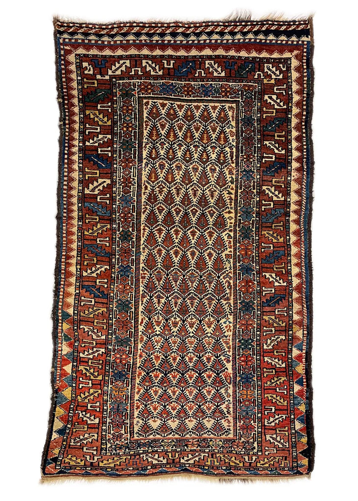 3'9"x6'2" Veramin Kurd Hand Knotted