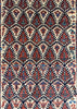 3'9"x6'2" Veramin Kurd Hand Knotted