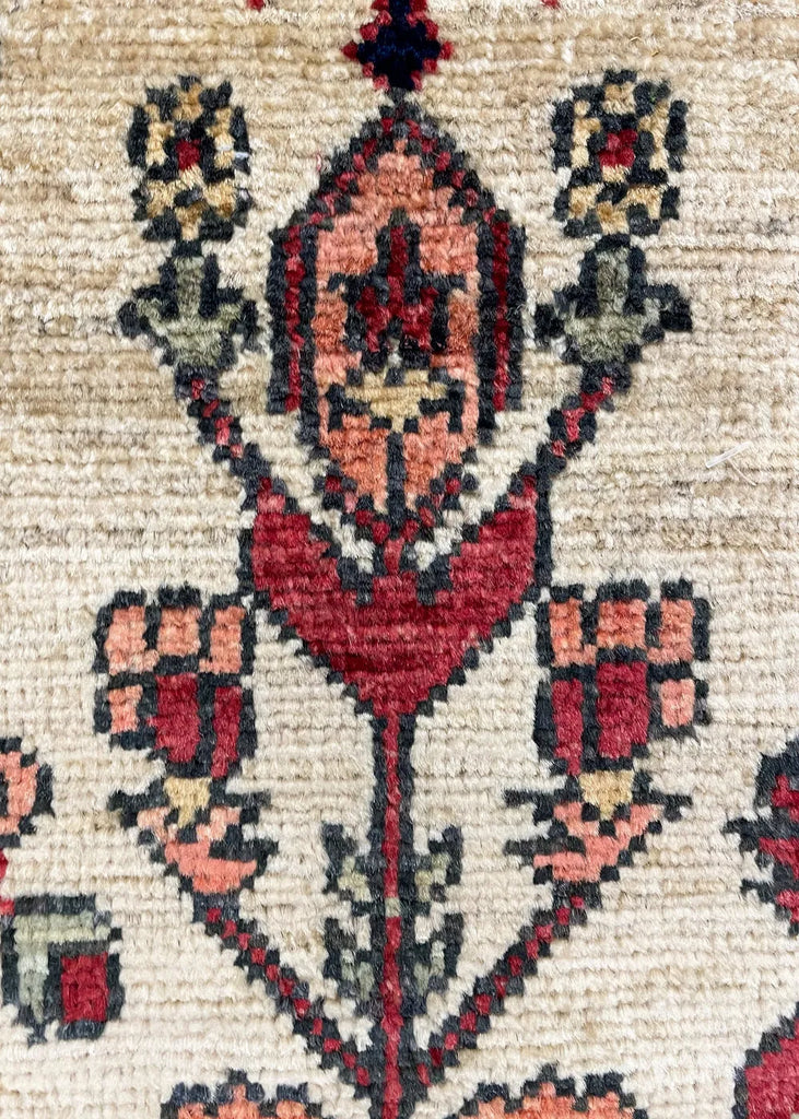 3'x5'2" Aspen Collection Farahan Hand Knotted