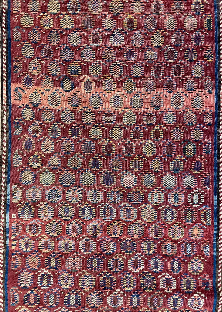 4'1"x14'8" Kurdish Hand Knotted
