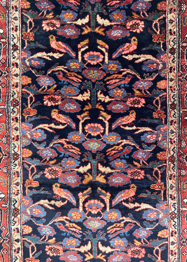 4'2"x6"6 Bidjar Hand Knotted