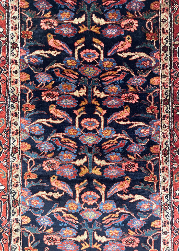 4'2"x6"6 Bidjar Hand Knotted