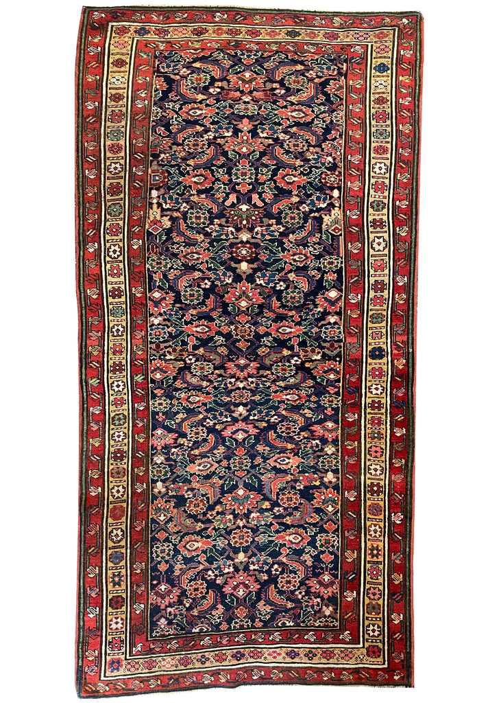 4'4"x8'8" Kurdish Bidjar Hand Knotted