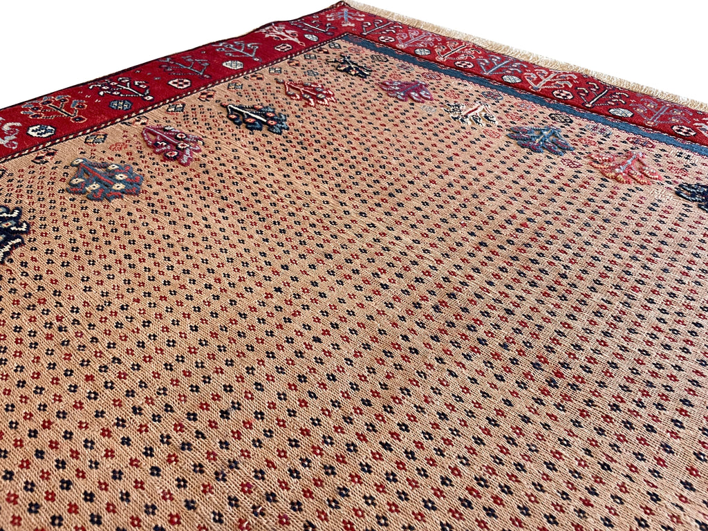 4'5"x4'5" Sirjan Sofreh Hand Knotted