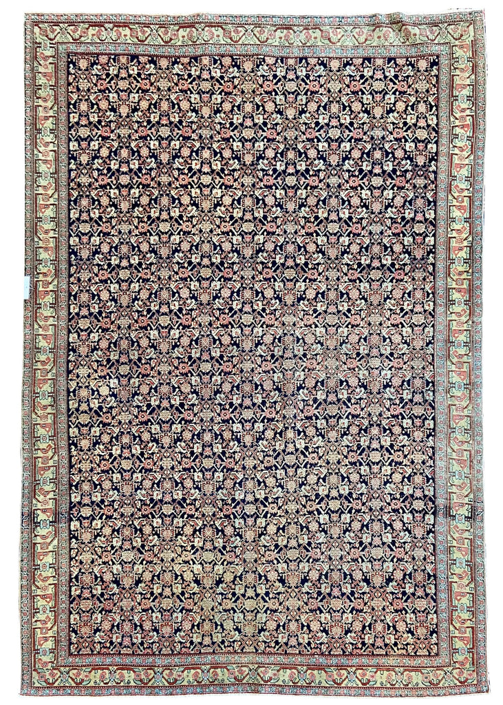 4'5"x6'3" Sennah (s) Hand Knotted