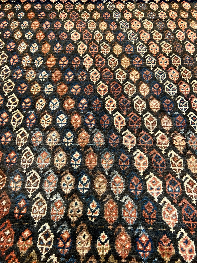 4'5"x6'7" Lori - Baktiari Hand Knotted