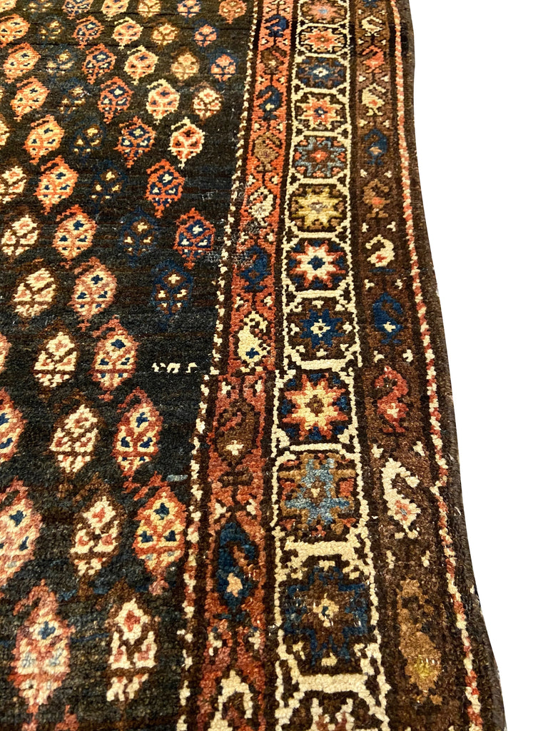 4'5"x6'7" Lori - Baktiari Hand Knotted