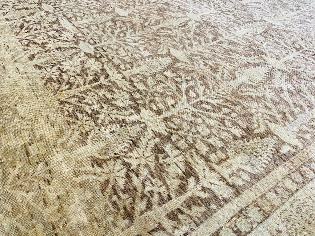 4'6"x5'10" Sivas (s) Hand Knotted