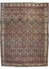 4'7"x6'3" Sennah Hand Knotted