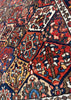 4'7"x6'5" Garden Bakhtiari Hand Knotted