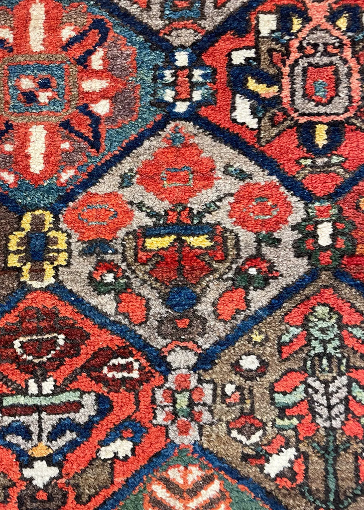 4'7"x6'5" Garden Bakhtiari Hand Knotted