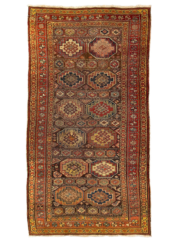 4'7"x8'4" Kurdish Bidjar Hand Knotted