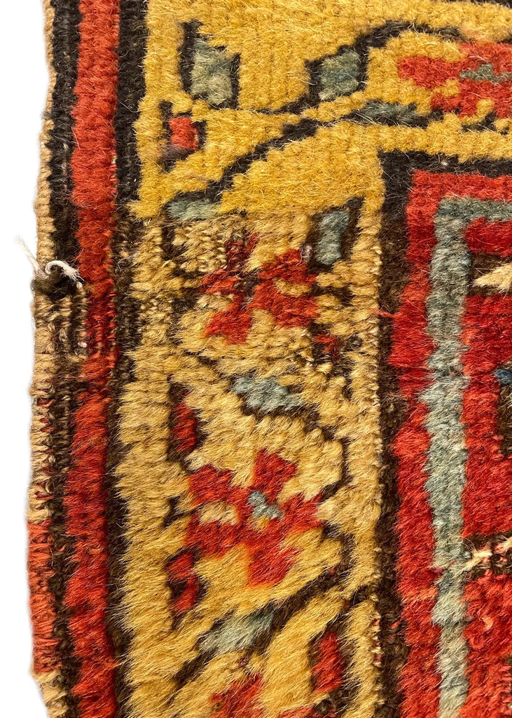 4'7"x8'4" Kurdish Bidjar Hand Knotted