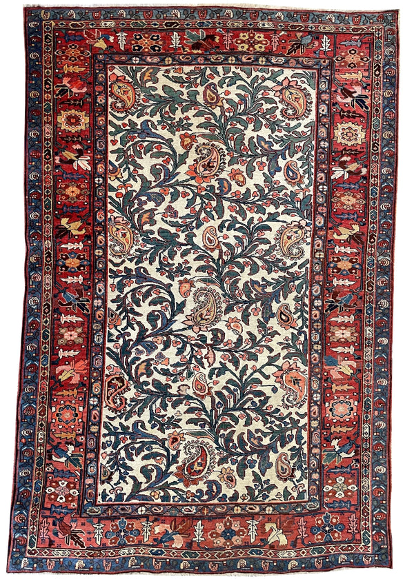 5'3"x8' Bidjar (s) Hand Knotted