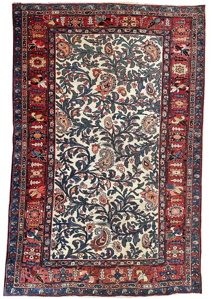 5'3"x8' Bidjar (s) Hand Knotted