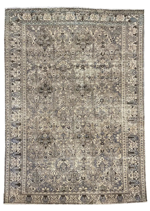 6'10"x9'6" Baktiari (s) Hand Knotted