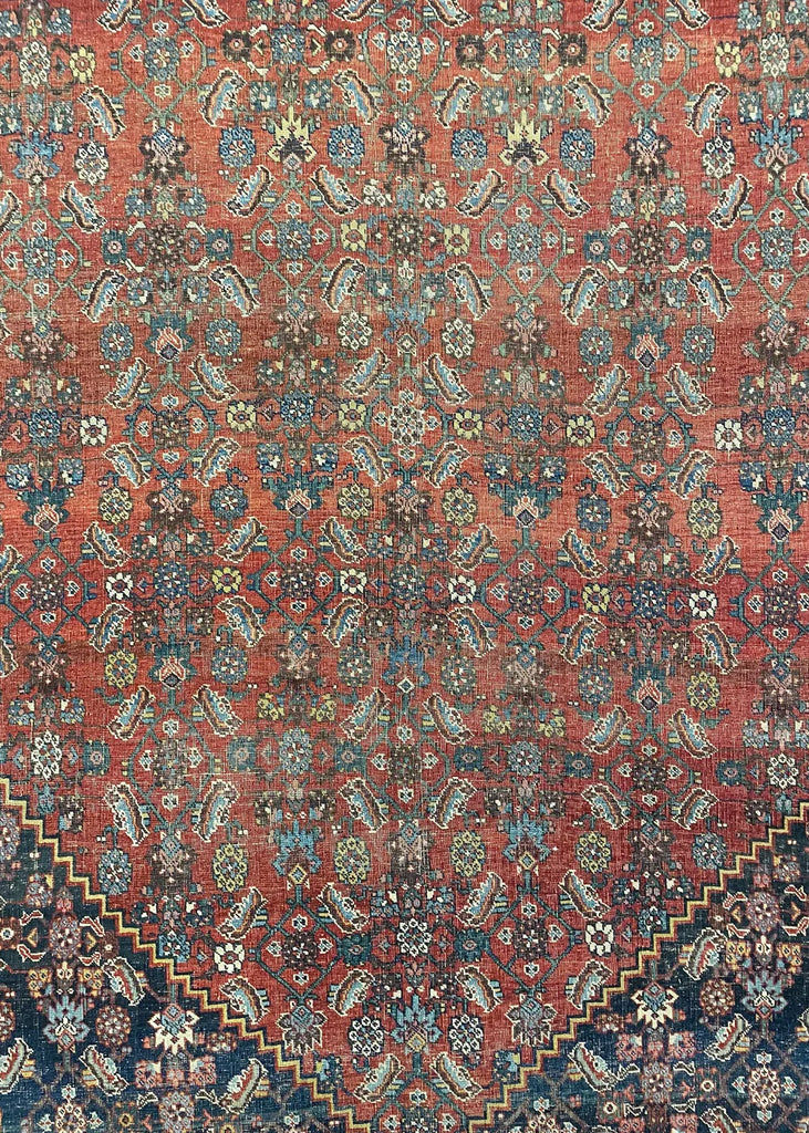 7'6"x11'5" Bidjar Hand Knotted
