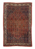 7'6"x11'5" Bidjar Hand Knotted