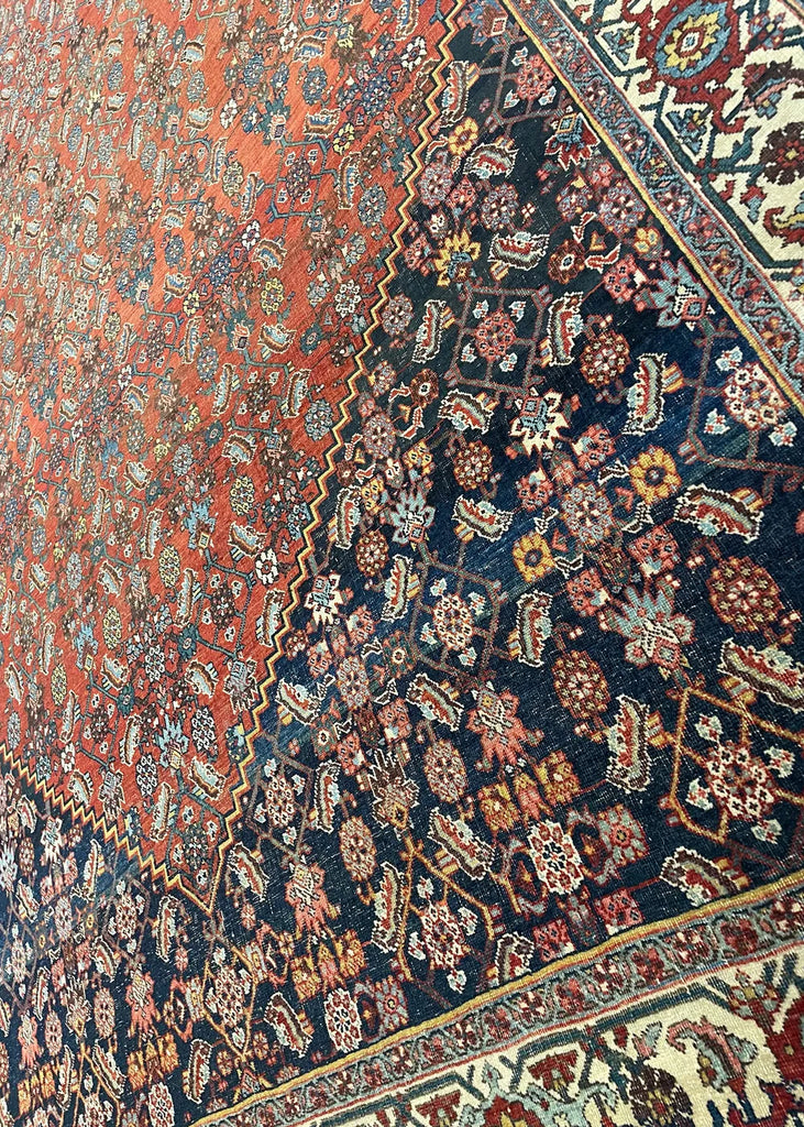 7'6"x11'5" Bidjar Hand Knotted