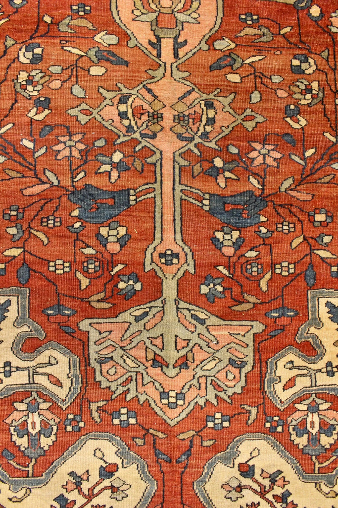 8'7x13' Farahan Sarouk Hand Knotted