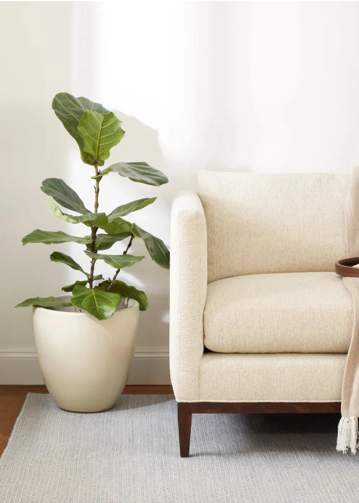 Honeycomb Hand Woven