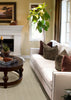Peter Island Natural broadloom