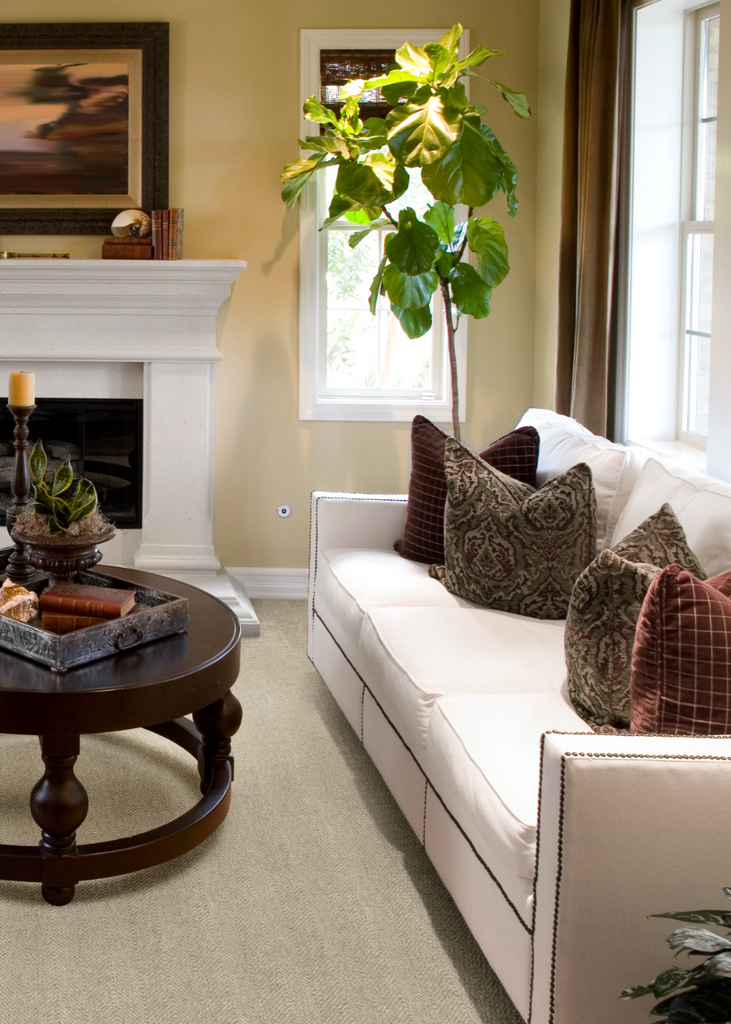 Peter Island Natural broadloom