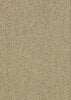 Peter Island Pastel broadloom
