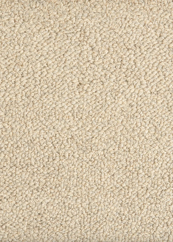 Trailblazer broadloom
